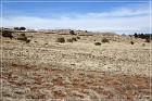 Pecos NHP