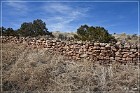 Pecos NHP