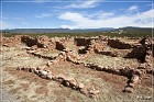 Pecos NHP