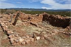 Pecos NHP