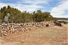 Pecos NHP