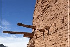 Pecos NHP