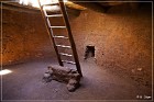 Pecos NHP