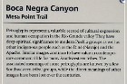 Petroglyph NM