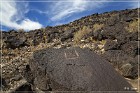 Petroglyph NM