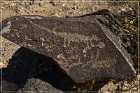 Petroglyph NM