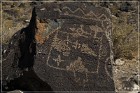 Petroglyph NM
