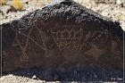 Petroglyph NM