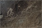 Petroglyph NM