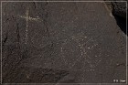 Petroglyph NM