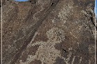Petroglyph NM
