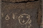 Petroglyph NM