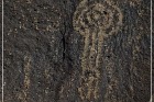 Petroglyph NM