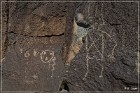 Petroglyph NM