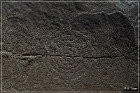 Petroglyph NM