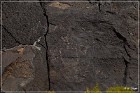 Petroglyph NM