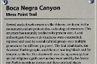 Petroglyph NM
