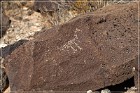 Petroglyph NM