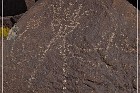 Petroglyph NM