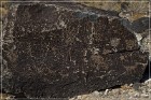 Petroglyph NM