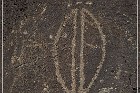 Petroglyph NM
