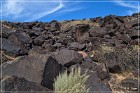 Petroglyph NM
