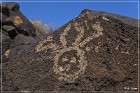 Petroglyph NM