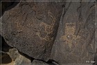 Petroglyph NM