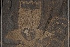 Petroglyph NM