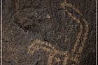 Petroglyph NM