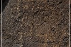 Petroglyph NM