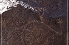 Petroglyph NM