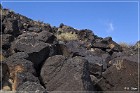Petroglyph NM
