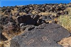 Petroglyph NM