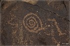 Petroglyph NM