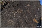 Petroglyph NM