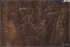 Petroglyph NM