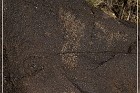 Petroglyph NM