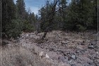 Pictograph Canyon