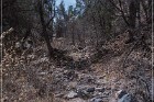 Pictograph Canyon