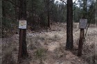 Pictograph Canyon