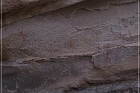 Pictograph Canyon