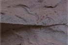 Pictograph Canyon