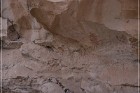 Pictograph Canyon