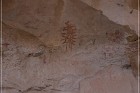 Pictograph Canyon