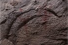 Pictograph Canyon