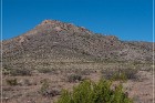 Pony Hill Petroglyphs