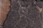 Pony Hill Petroglyphs