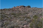 Pony Hill Petroglyphs