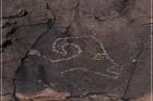 Pony Hill Petroglyphs